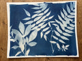 Cyanotype No. 14