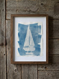 Cyanotype 3