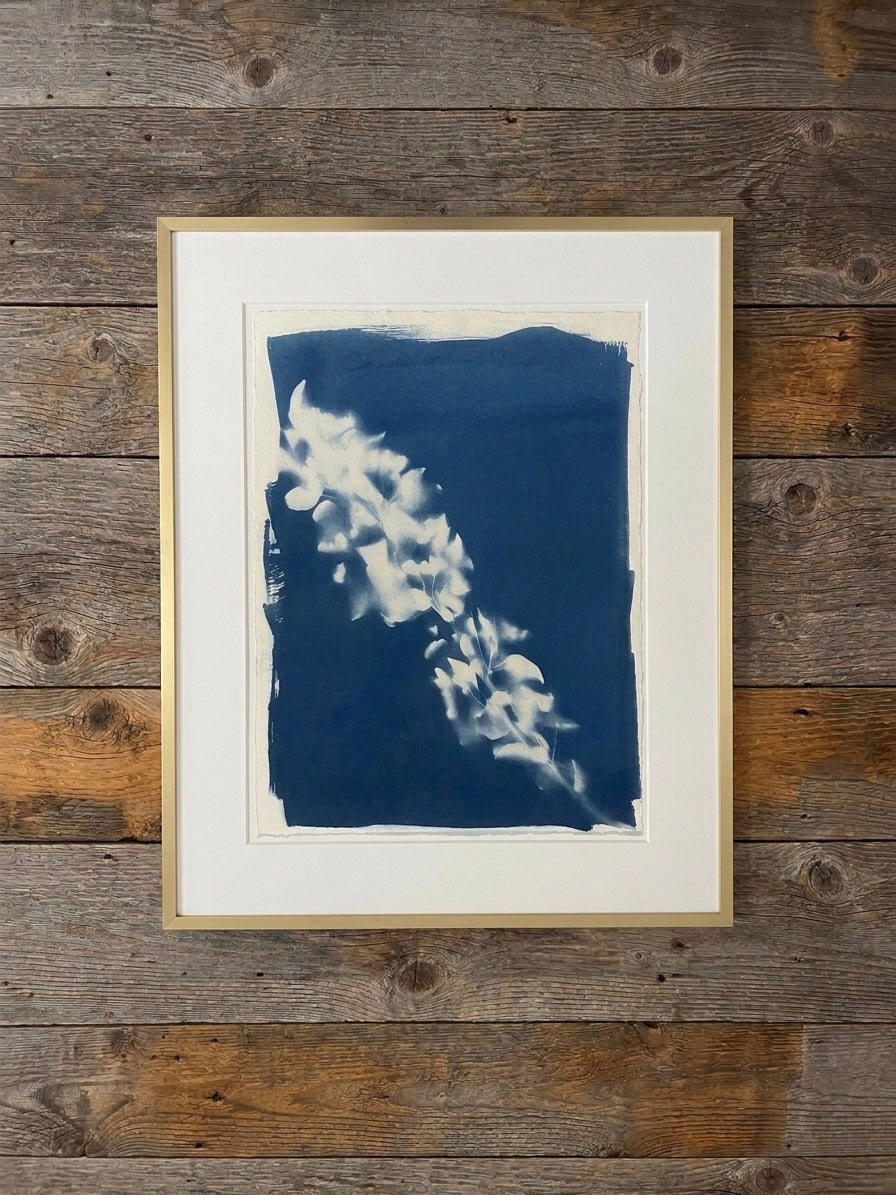Cyanotype 4