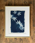 Cyanotype 5