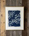 Cyanotype 6