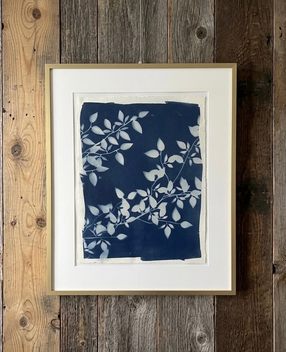 Cyanotype 6
